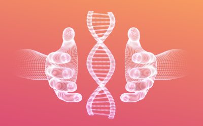 An Introduction to DNA Based Diets