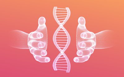 An Introduction to DNA Based Diets