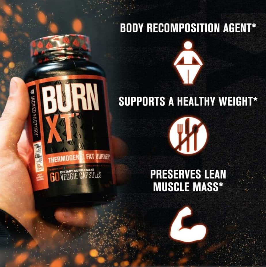 Jacked Factory Burn XT Thermogenic Fat Burner  Lean PM Nighttime Weight Loss Supplement for Men  Women 60 Veggie Diet Pills